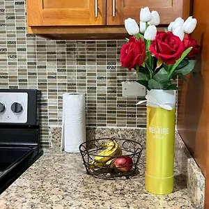 2br W/pool; Across Ac Apartment Kingston